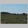DSCN0980.JPG